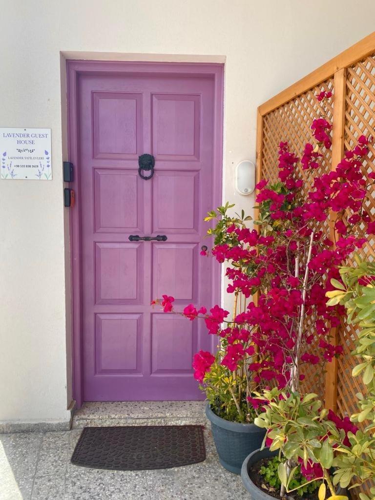 Lavender Homes, Walled City Famagusta  Exterior foto